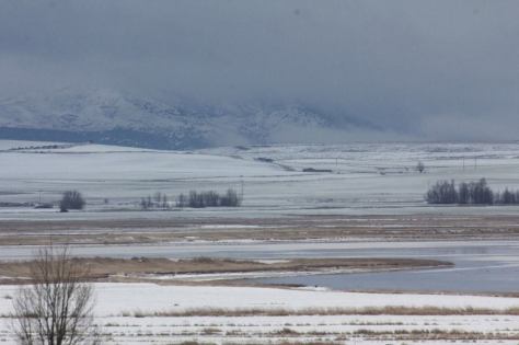 1655332_10152204748745339_2114033075_o