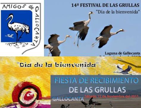 10703965_834052759950356_6066661635602606843_n