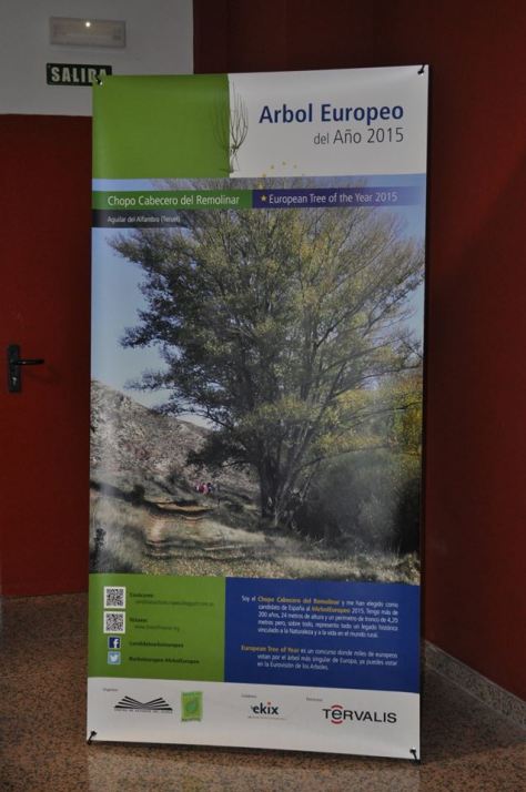 10994220_892730134082618_4163330443668631328_n